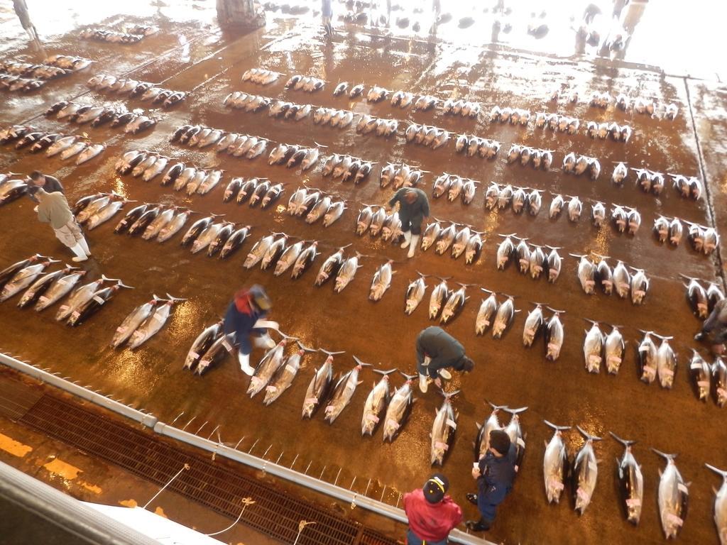 Hotel Urashima-So ماتسوشيما المظهر الخارجي الصورة